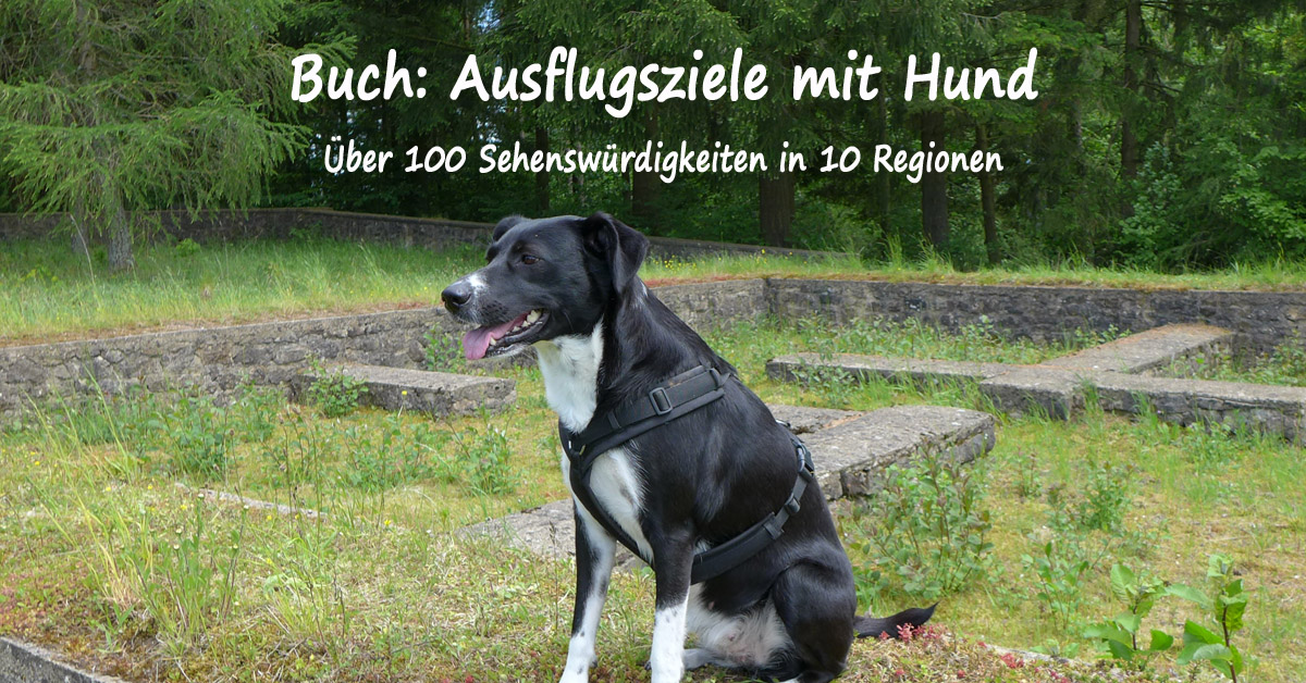 Ausflugsziele mit Hund Mein Buch ist erschienen Urlaubstipps mit Hund