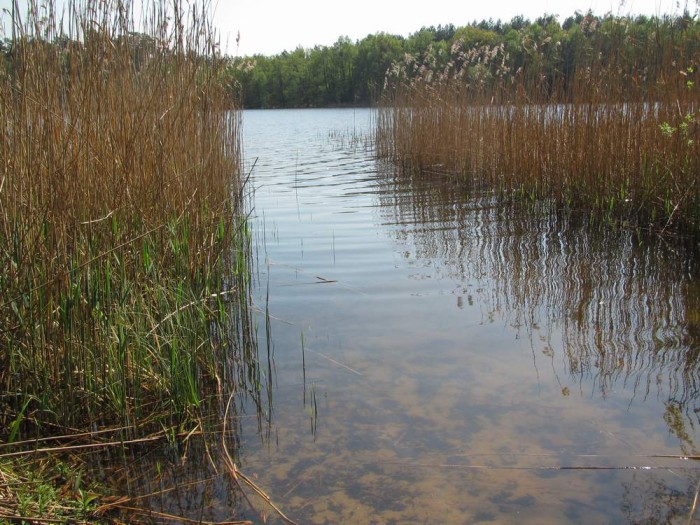 Urlaub mit Hund im Ruppiner Land in Brandenburg Urlaubstipps mit Hund