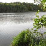 Ausflug mit Hund an den Strehlesee/ Prenden