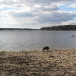 Ausflug mit Hund an den Langen See (Dahme)