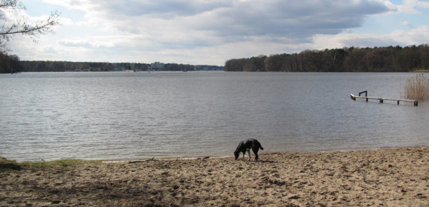 Langer See (Dahme) in Köpenick