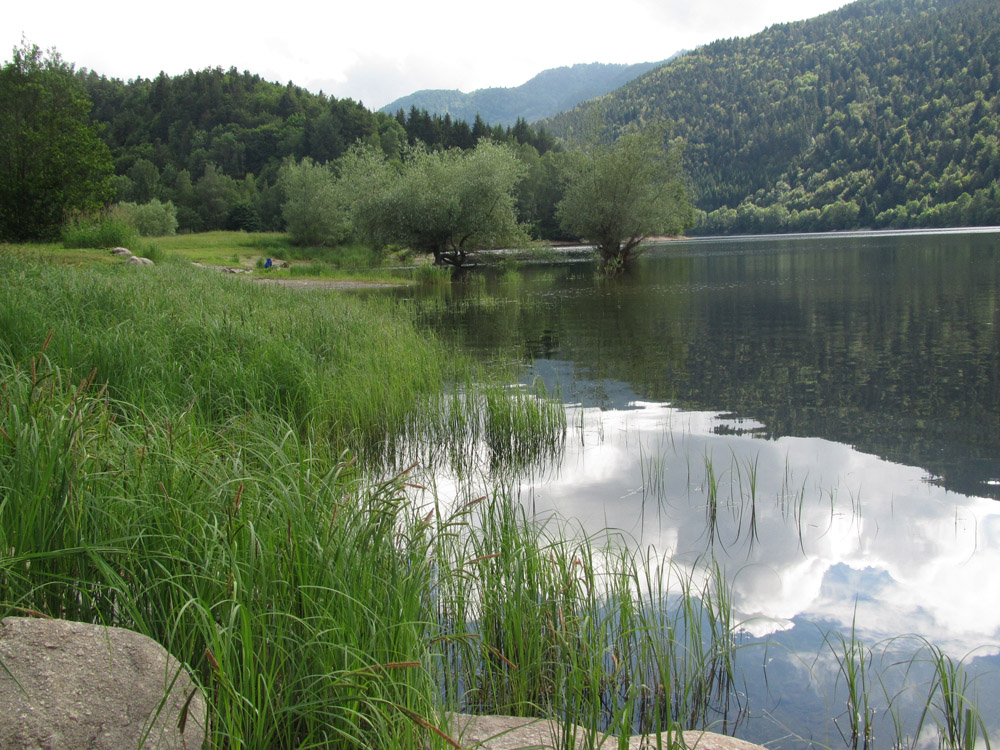 Lac de Kruth-Wildenstein