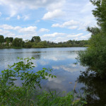 Ausflug mit Hund zum Hermsdorfer See und nach Lübars