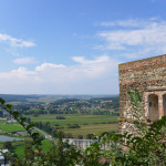 Mit Hund im Südburgenland