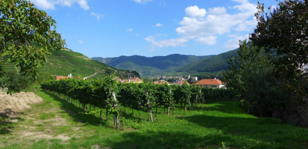 Ausblick von unserer Ferienwohnung