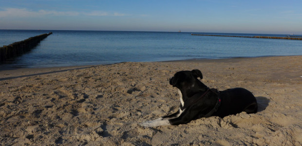 Ostseestrand in Markgrafenheide