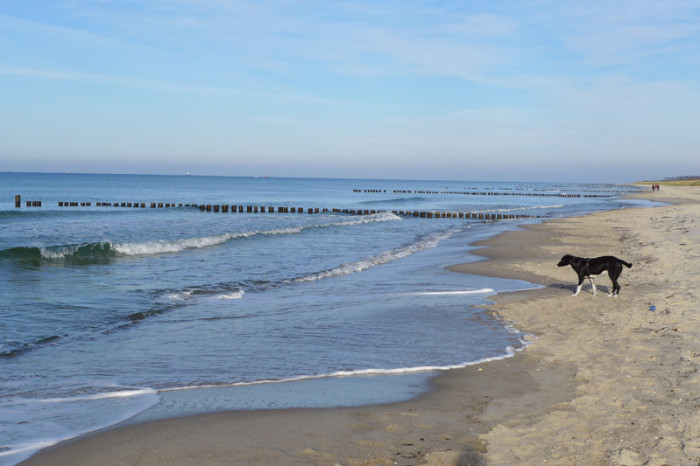 Ausflugsziele mit Hund in MecklenburgVorpommern Urlaubstipps mit Hund