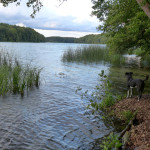 Der Liepnitzsee – Kleines Paradies nahe Berlin