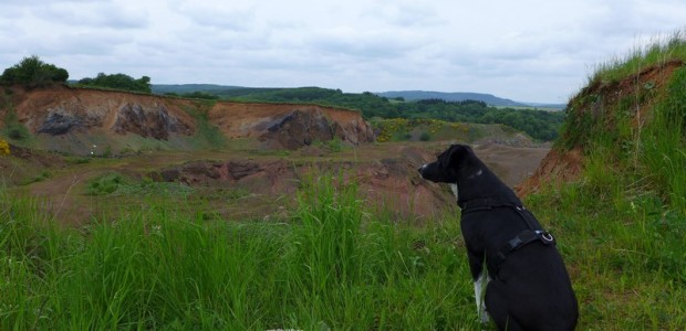 Blick in den Steinbruch