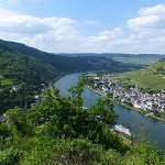 Urlaub mit Hund an der schönen Mosel