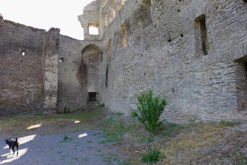 Ruine Metternich
