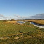 Ruhiges Silvester mit Hund in Stolpe auf Usedom