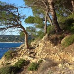 Traumhafte Küstenwanderung auf der Halbinsel von St. Tropez