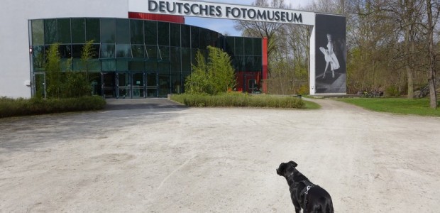 Deutsches Fotomuseum mit Hund