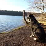 Wanderung um Bötzsee und Fängersee