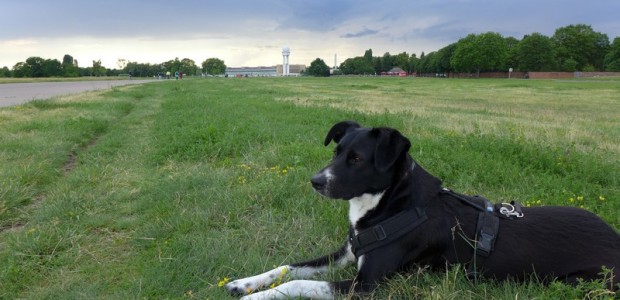 Unterwegs auf dem Tempelhofer Feld