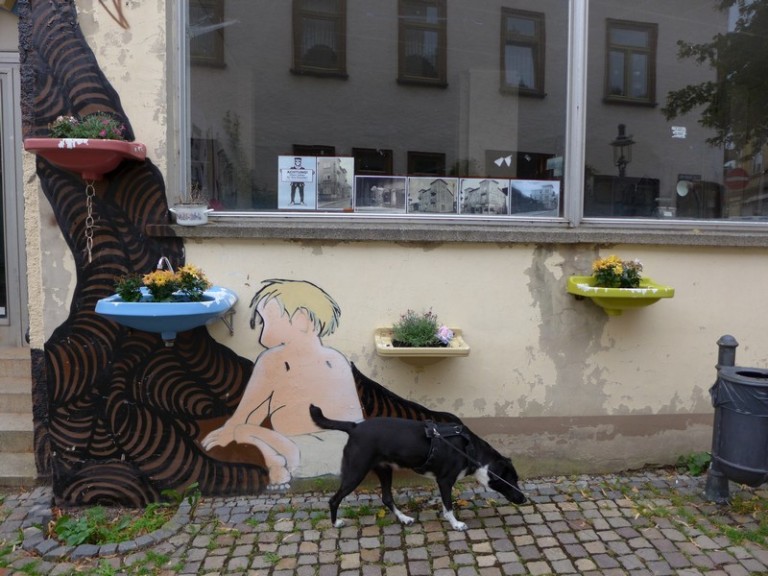 Urlaub mit Hund in Friedrichroda - Unterwegs im Thüringer Wald