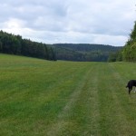 Urlaub mit Hund in Friedrichroda – Unterwegs im Thüringer Wald