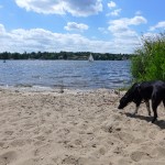 Entlang der Havel und durch den Berliner Grunewald