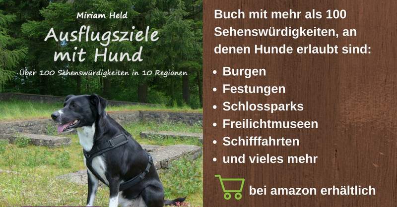 Tagesausflug Mit Hund
