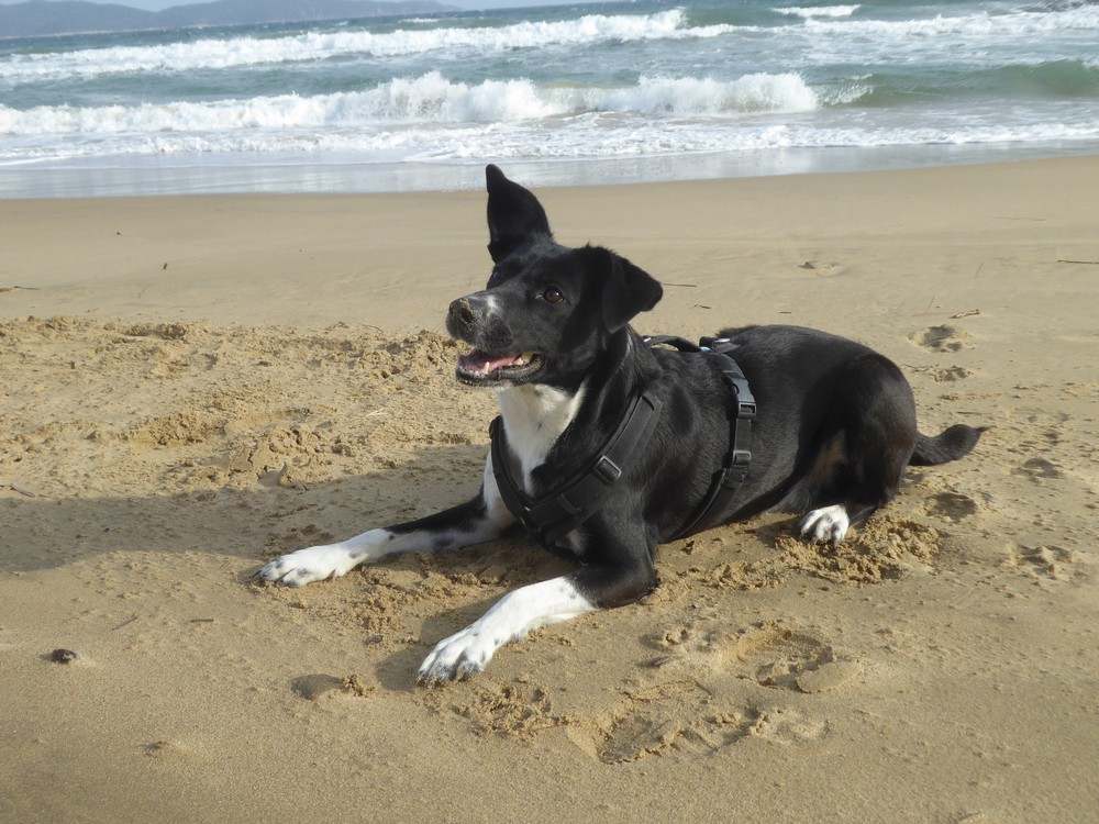 Glücklich am Strand