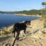 Wo im Februar schon Frühling ist – Fotos von der schönen Côte d’Azur