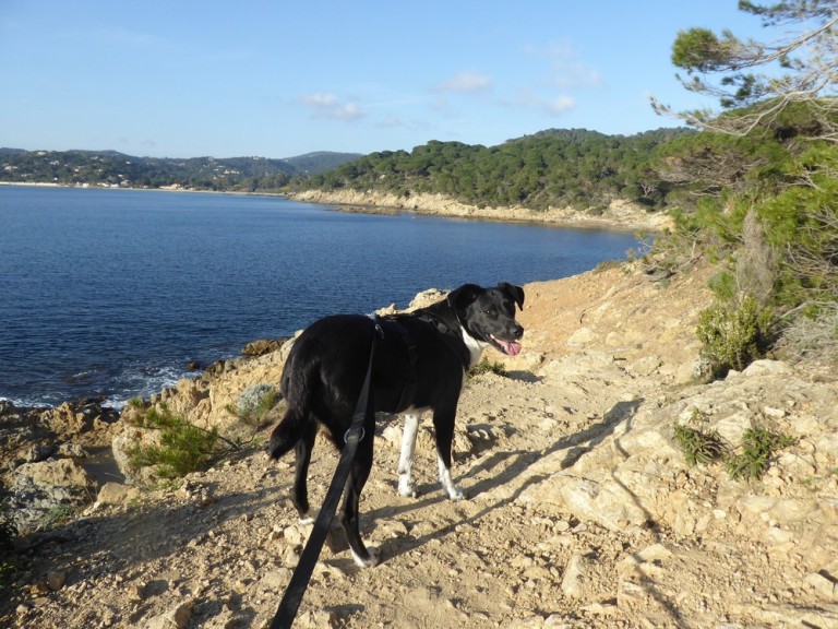 Wo im Februar schon Frühling ist Fotos von der schönen Côte d'Azur