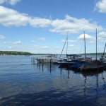 Mit Hund unterwegs am Werbellinsee