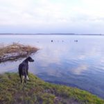 Unser Jahreswechsel an der Mecklenburger Seenplatte