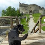 Tolle Ausflüge mit Hund zu drei mittelalterlichen Burgen im Ostallgäu