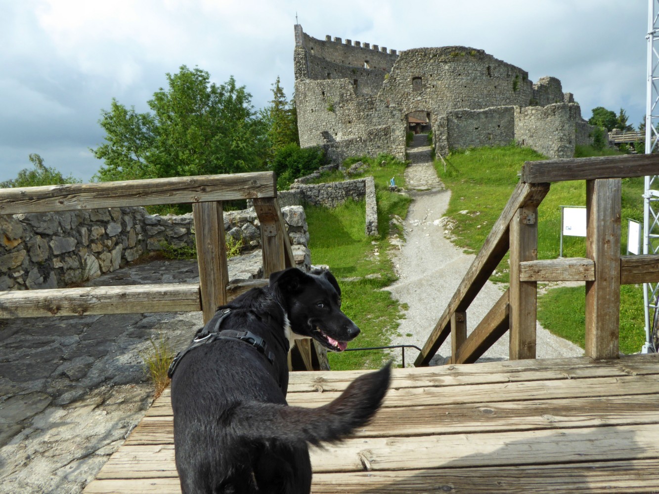 Ausflug mit Hund zur Burgruine Eisenberg