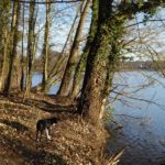 Silvester mit Hund in der seenreichen Uckermark