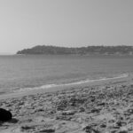 Adieu und Auf Wiedersehen